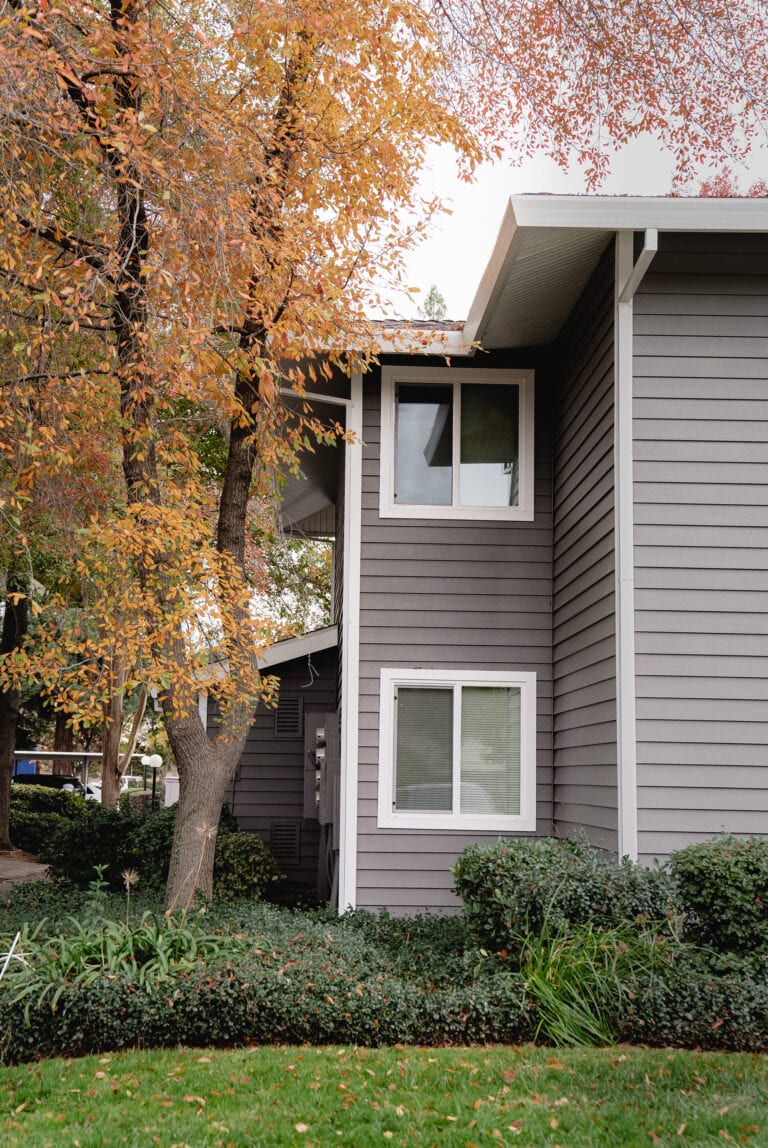 house windows