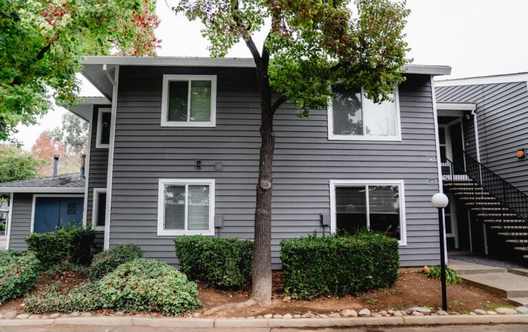 house with windows