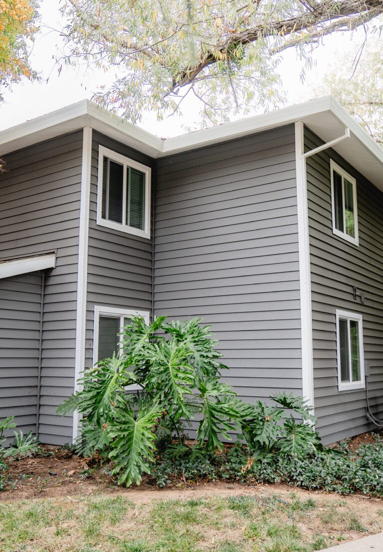 windows for houses